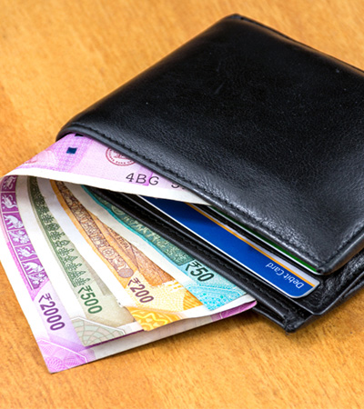 Monthly Income 
